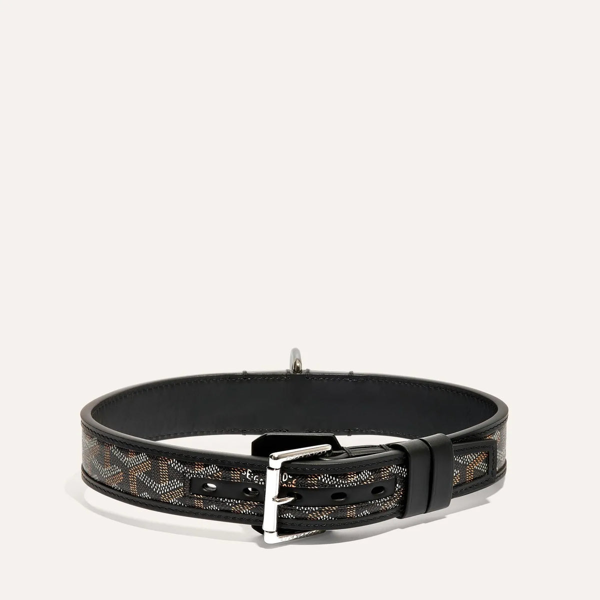 Franklin Collar With Box