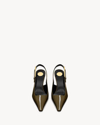 Kaki