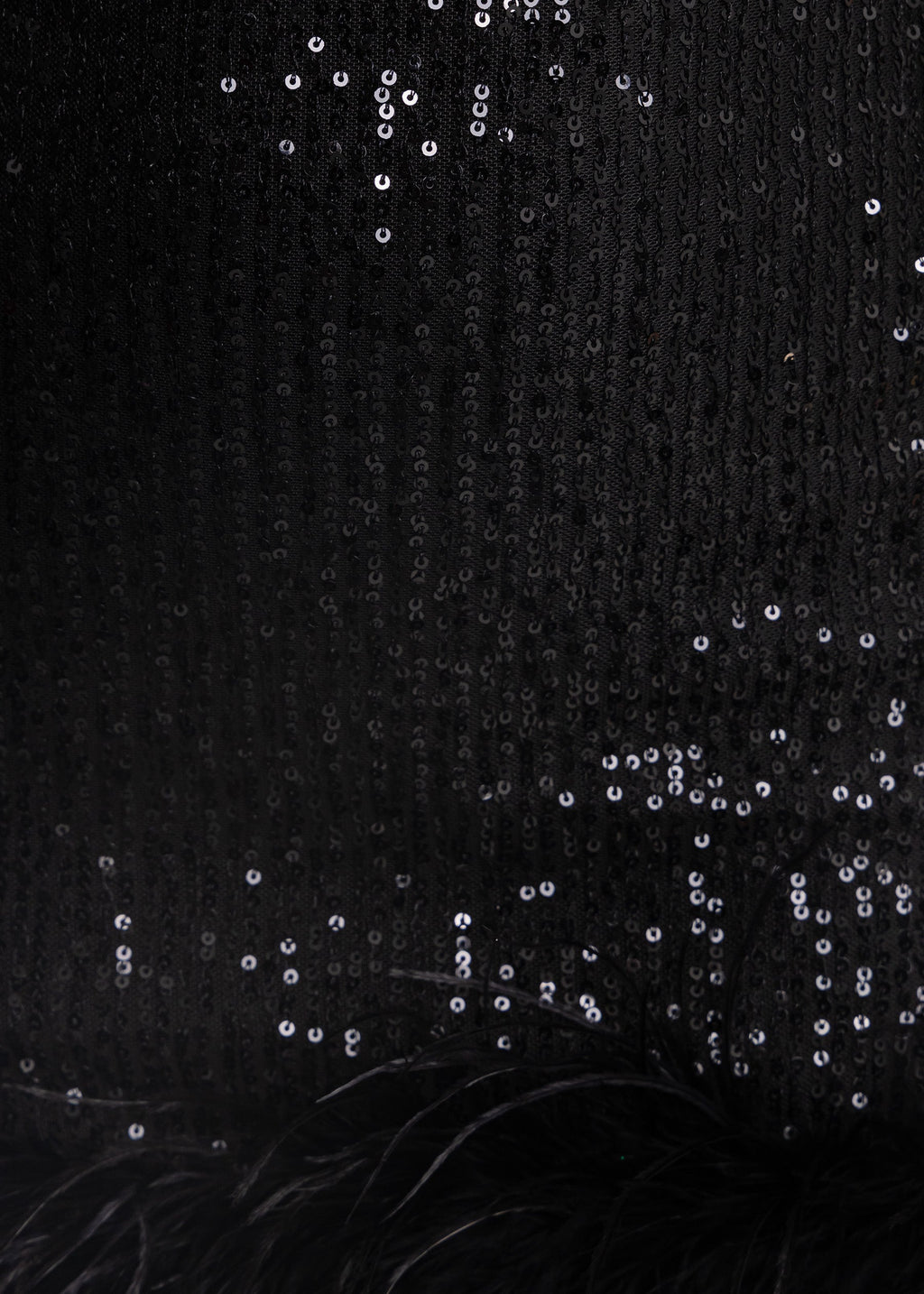 Untamed Aura Sequin Feather Mini Dress - Black