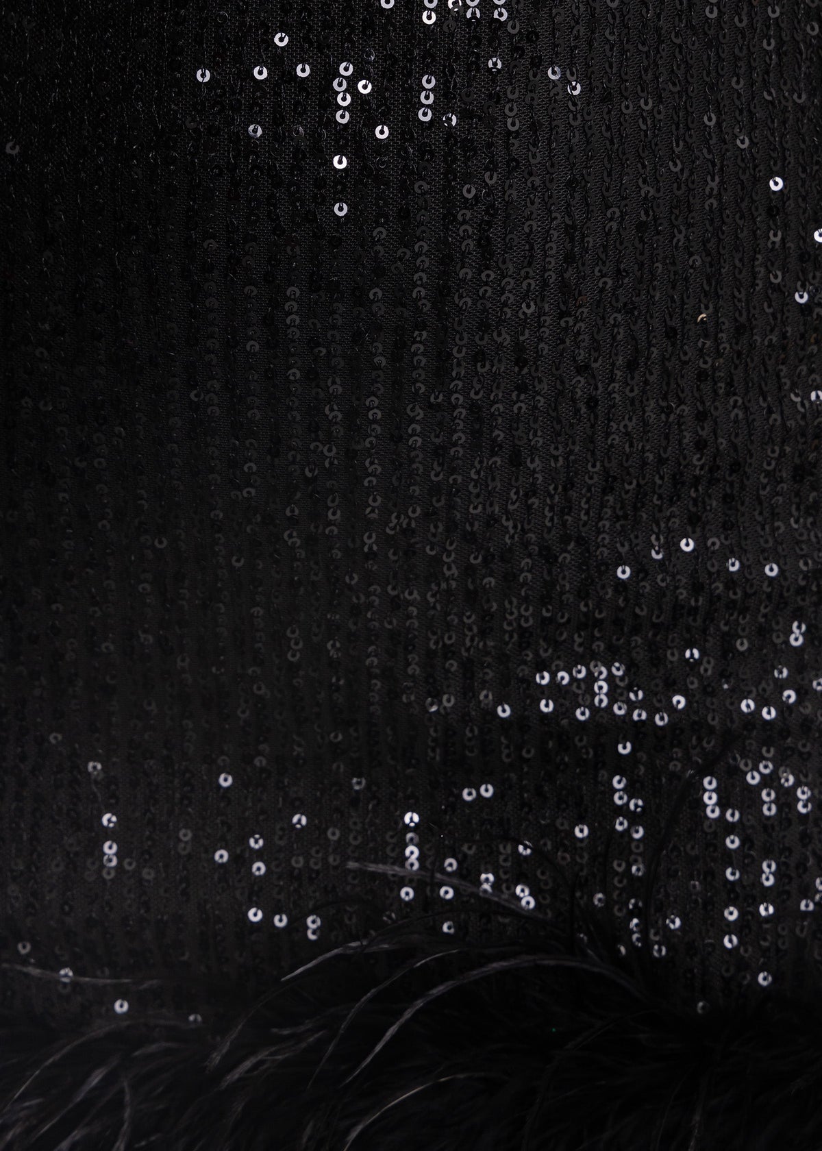 Untamed Aura Sequin Feather Mini Dress - Black
