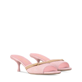 6AM Mule